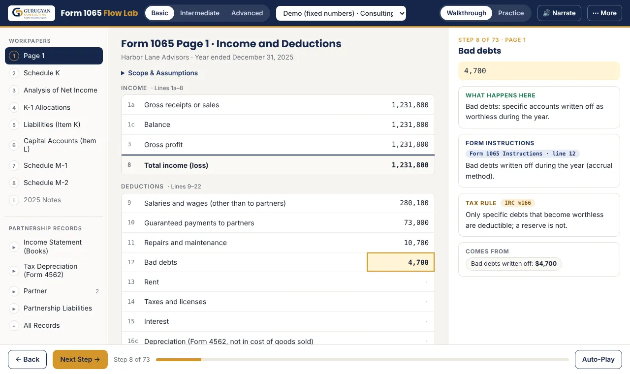 Partnerships and K-1s: screenshot